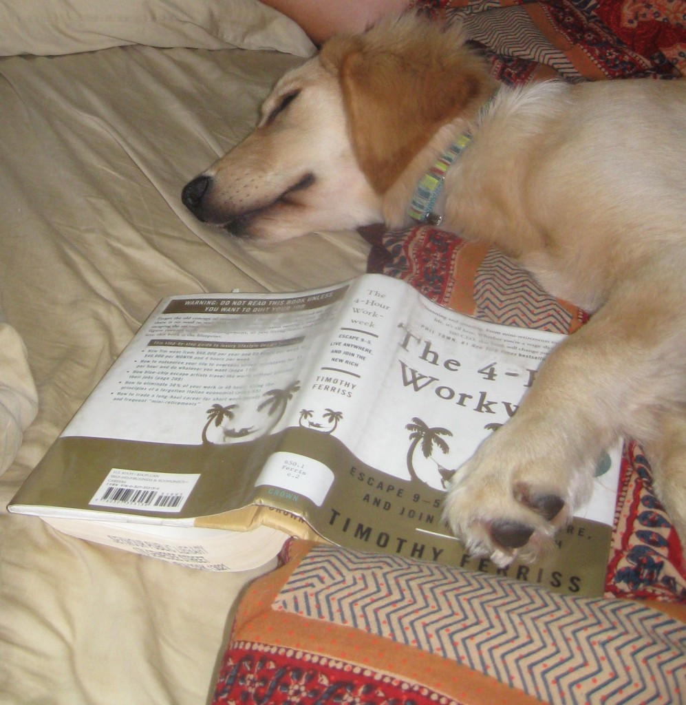 Honey likes to read in bed.