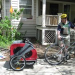 Dog in Bike Trailer