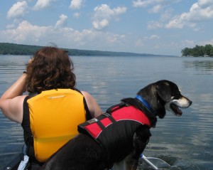 Dog in Canoe