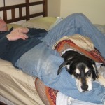 Dog Sleeping on Bed with Man