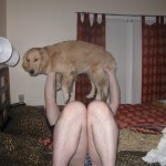 Golden Retriever being lifted in the air.
