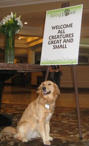 Honey at the BlogPaws entrance Golden Retriever at BlogPaws