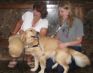 Honey, Pam, & Pup Fan - take 3 Honey the Golden Retriever, Pamela Douglas Webster & Pup Fan