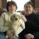 Honey the Golden Retriever
