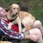 Golden Retriever sitting on man's lap