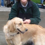 Golden Retriever with Pamela Douglas Webster