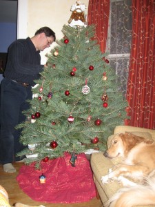 Man decorating Christmas tree while Golden Retriever sleeps on the couch