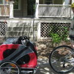 Mixed Breed in dog trailer