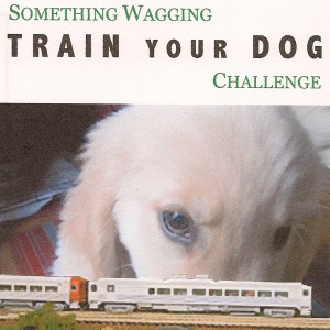 Train Your Dog Badge 765x765 Train Your Dog Challenge