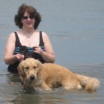 Golden Retriever who doesn't like the water at Cape May.