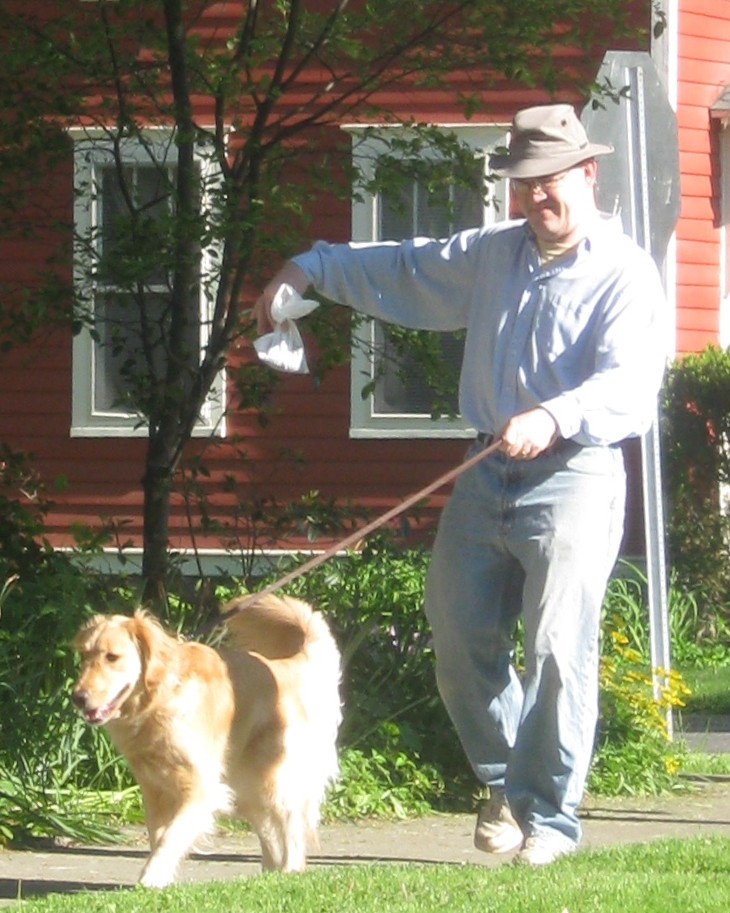 Golden Retriever on a walk