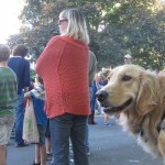 Golden Retriever at Ithaca Festival Parade