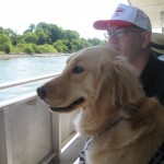 Golden Retriever takes a boat ride