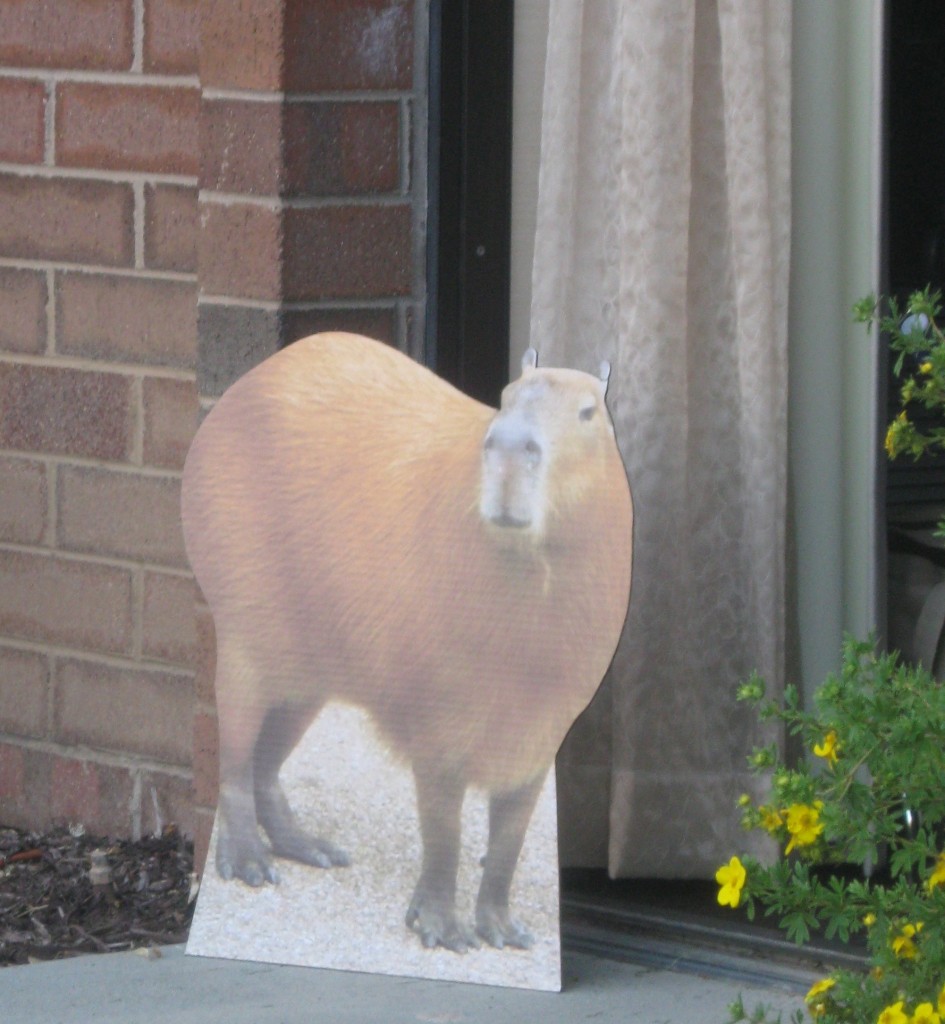 Capybara at BlogPaws