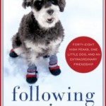 Following Atticus book cover