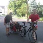Golden Retriever being pulled in Doggy Ride Bicycle Cart