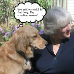 Human shaming picture #1