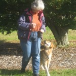 Connecting with my Golden Retriever.