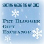 Pet Blogger Gift Exchange