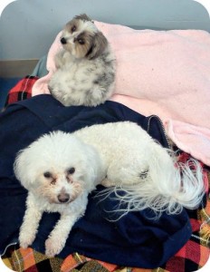 Delia and best friend Phoebe at work.