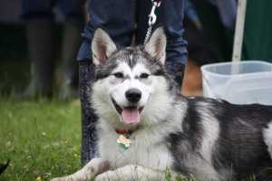 Misaki, the star of the Misadventures of Misaki.