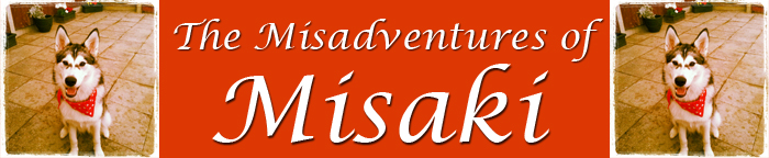 Header for the Misadventures of Misaki.