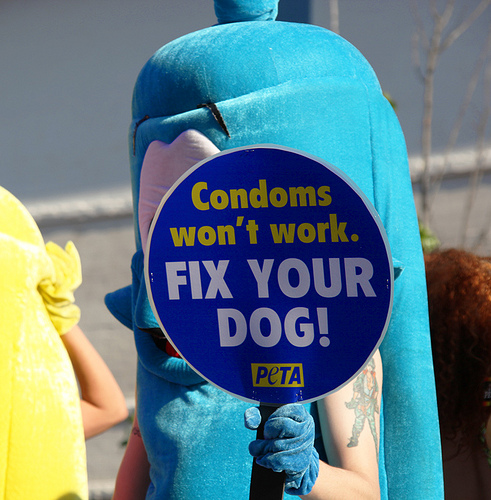 Peta - fix your dog sign.
