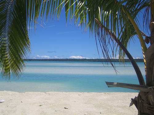 A Cook Island view.