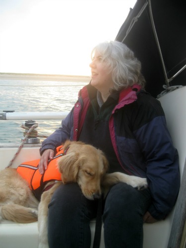 Honey the Golden Retriever is dog tired of sailing.
