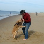 Honey the Golden Retriever plays tug on the beach with her person.