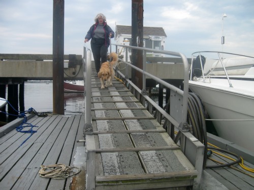 Honey walks down the pier to go sailing.