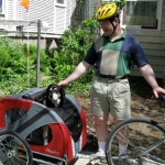 Dog in a bike trailer.