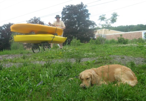 Honey the Golden Retriever naps beside kayaks.