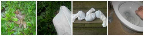 Getting rid of dog poop with Flush Doggy flushable dog waste bags.