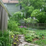 The garden is pretty in the spring before being wrecked by dogs.