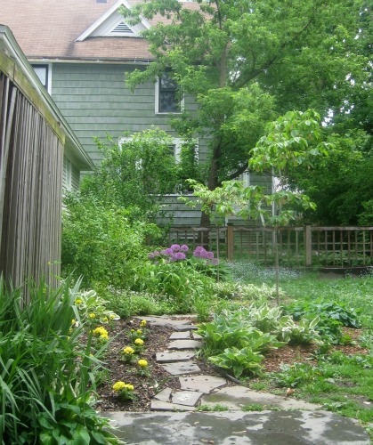 The garden is pretty in the spring before being wrecked by dogs.