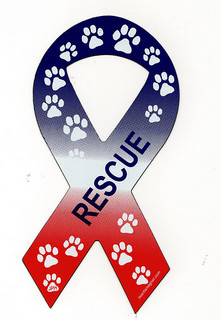 An animal rescue ribbon magnet.