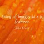 A thing of beauty is a joy forever.