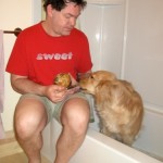 Honey the Golden Retriever sits in the tub as my rival.