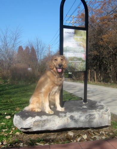 Honey the golden retriever sits near the entrance of Conley park.