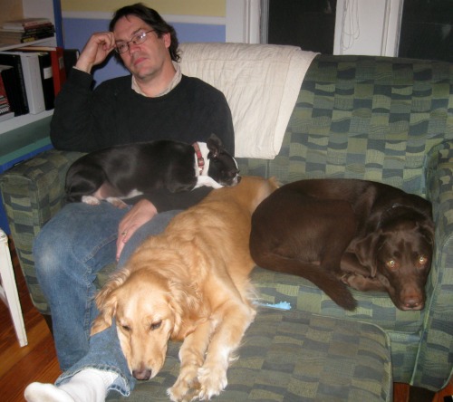 Mike sits on the couch with a golden retriever, chocolate lab, and Boston terrier.