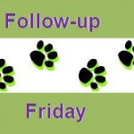It's Follow Up Friday from Heart Like a Dog.