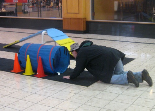 Honey the golden retriever uses her voice.