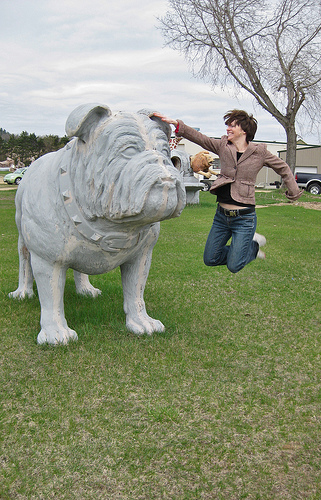 Ask this dog why dogs jump.