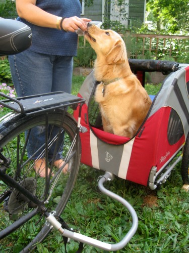 Match the treat to the trick when dog training.