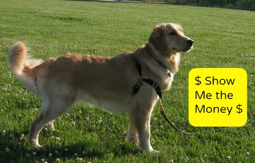 I need to figure out how to make money with my dog.