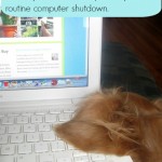 Stray ears in the laptop is a dog world problem.