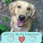 Happy Palentine's Day