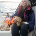Honey the Golden Retriever is training new sailing skills.