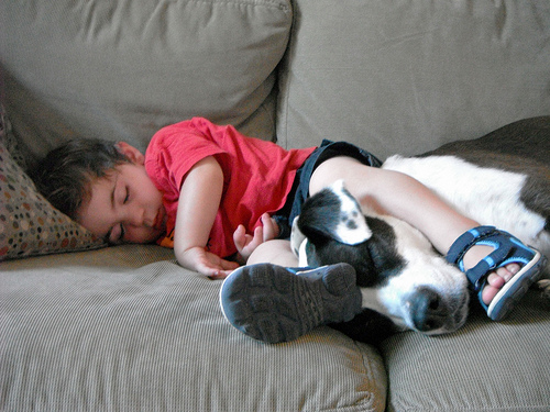 Child and dog zonked on couch.